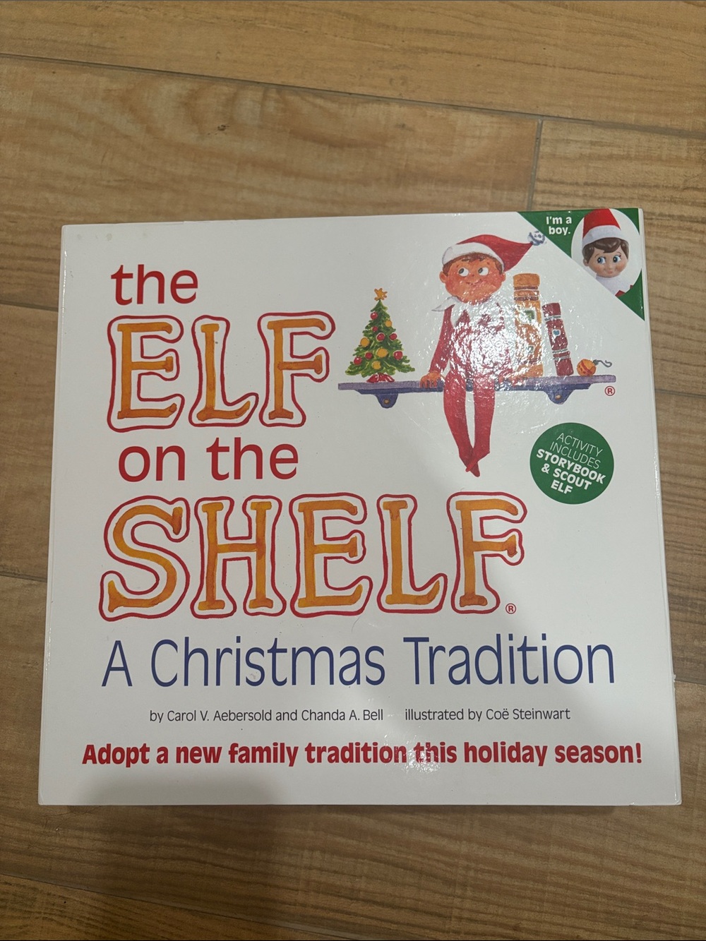 Scout The ELF on the SHELF
